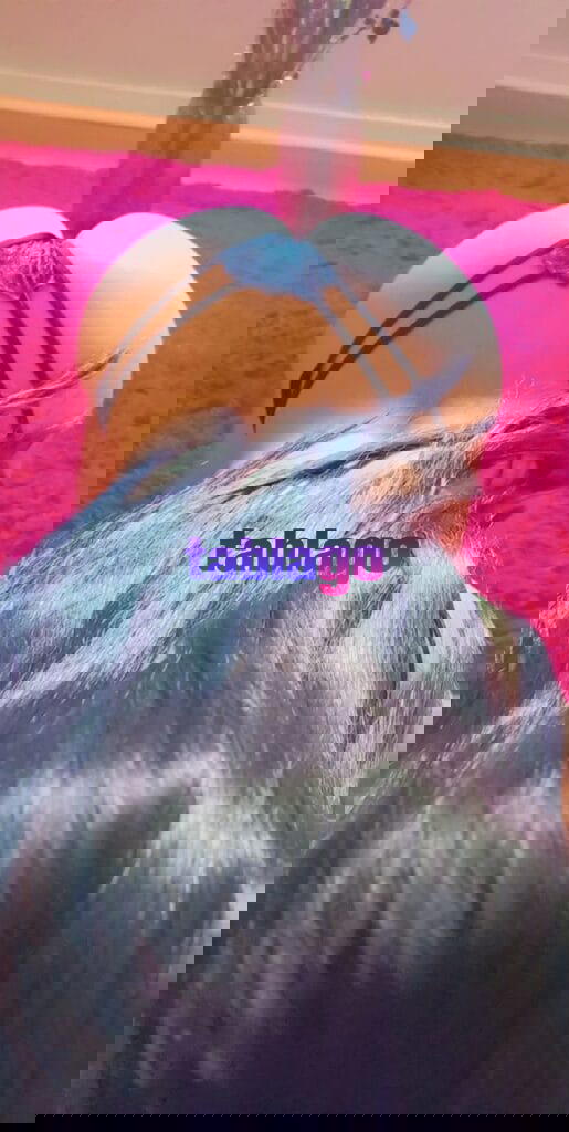 Masajistas ricas latinas quieren complacerte mucho