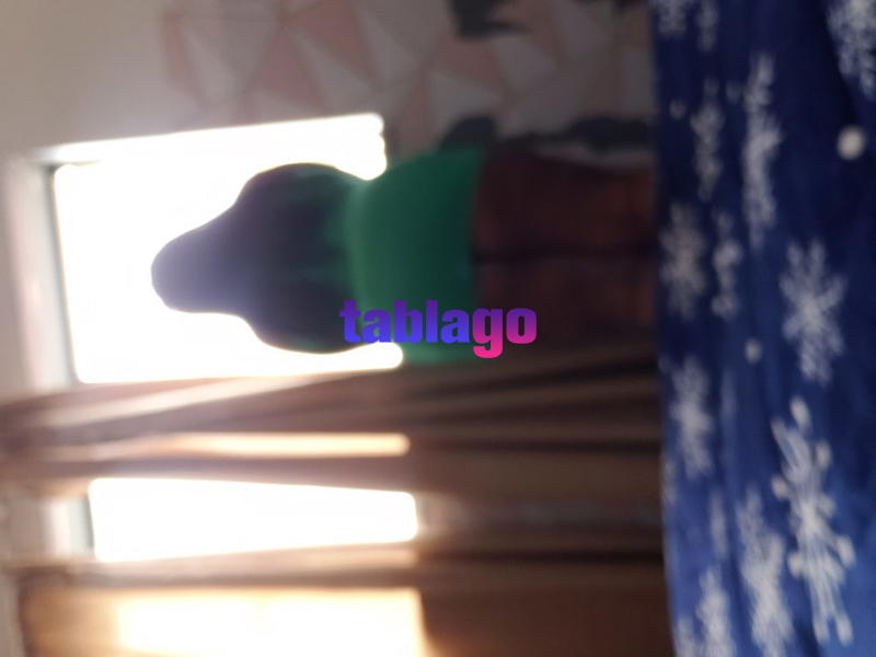 Negrita gordita culona y tetona